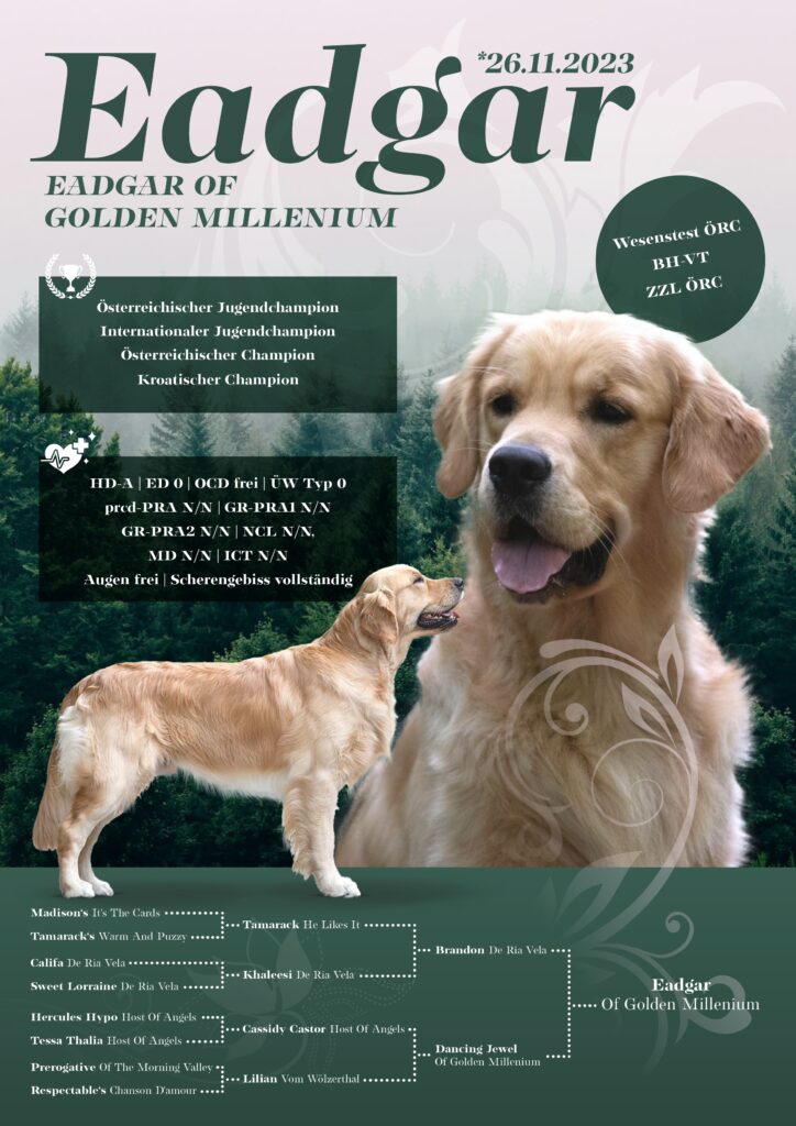 RM-25_Deckrüdenanzeige-Eadgar-ANSICHT-1_pages-to-jpg-0001